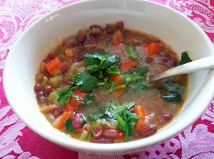 Michelina Winter Soup